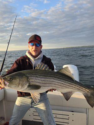 Big Striped Bass