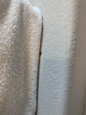 Microtel Inn & Suites