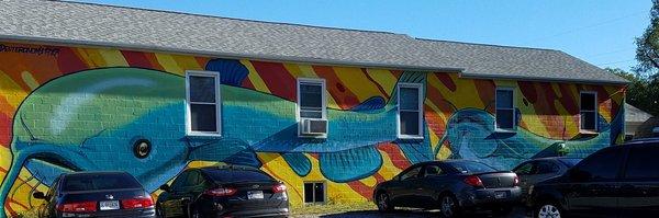 Catfish by Aaron Vickery (Fasm) and Ella V 2018