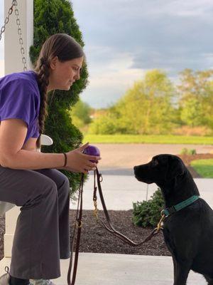 Healing Paws Veterinary Care