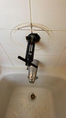 Mendoza Plumbing Services