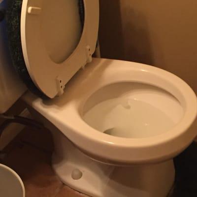 Toilet after we cleaned it