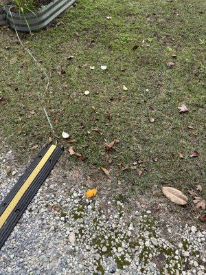 Littering in my driveway