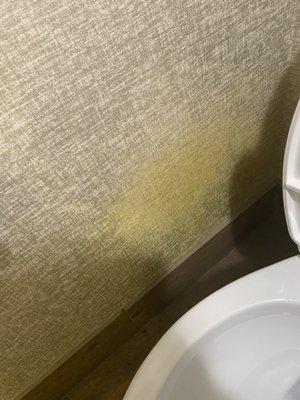 SureStay Plus Hotel by Best Western Bakersfield North