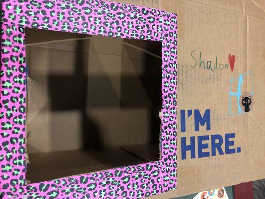 3/6/19. Thursday night. Up-cycling project! Making Cardboard Cat Castles! My seven year old will be the lead architect and designer on this!