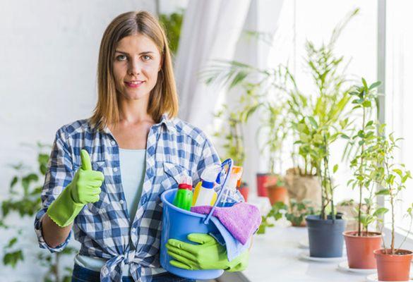 MGT PROP - Five Star Cleaners