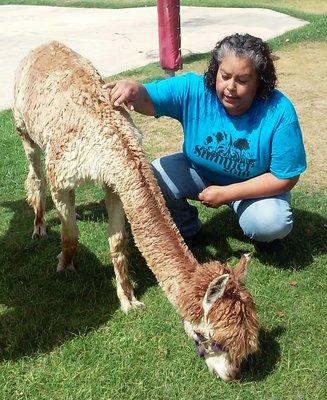 During the summer Farmer Sean brought in animals. We had so much fun