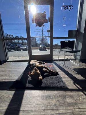 Blitzkrieg German Auto Repair