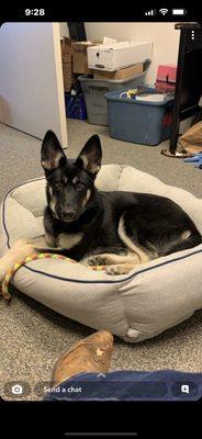 Winchester Area SPCA