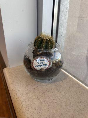 McClellan Dental Clinic