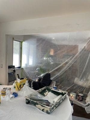 TZD Painting & Property Service