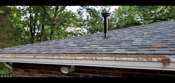 "self cleaning" gutters!