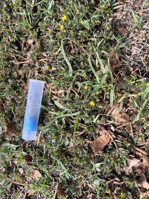 Rotary Centennial Park