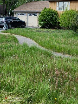 Hustle Crow Enterprises