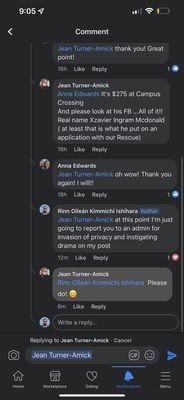 Triad Independent Cat Rescue