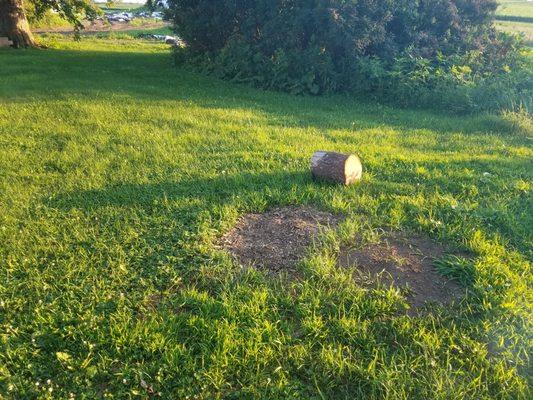 Peterson Stump Grinding