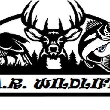 A.R.Wildlife and Outdoors