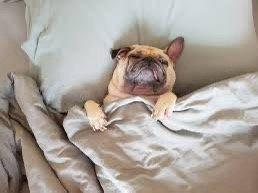 Orange Grove Elementary School