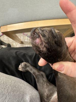 Cedar Creek Pet Hospital