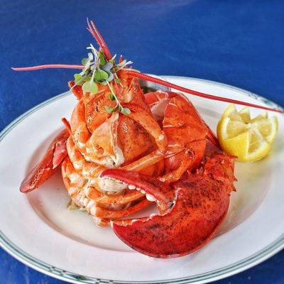 1-1/2 POUND BOILED ~ OR ~ BROILED MAINE LOBSTER
Served with Drawn Butter and Lemon, Coleslaw, and a Choice of Two Sides