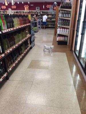 TLC Liquors and Wine