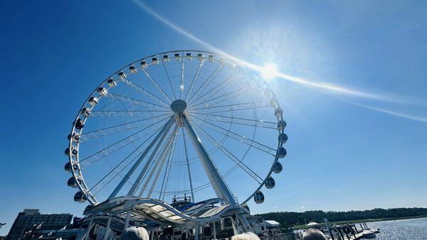 City Cruises - National Harbor