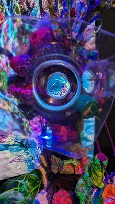 Art and Culture Center School