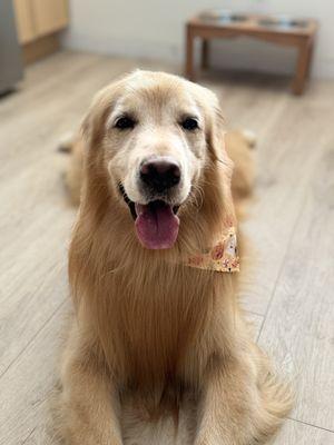 Central Bark Fort Lauderdale