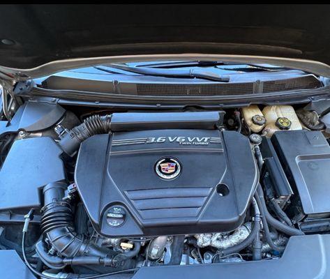 Tom Peacock Cadillac