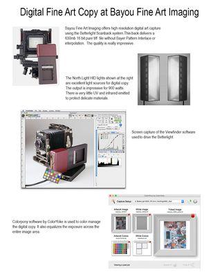 Bayou Fine Art Imaging LLC