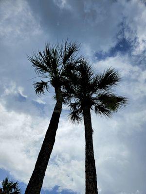 Cape Coral Yacht & Racquet Club