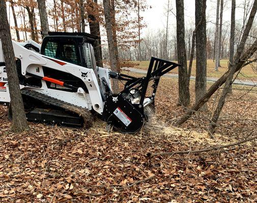 Freedom Land Management