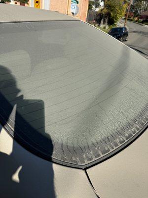 Rear window. I couldn't see out of it at all.