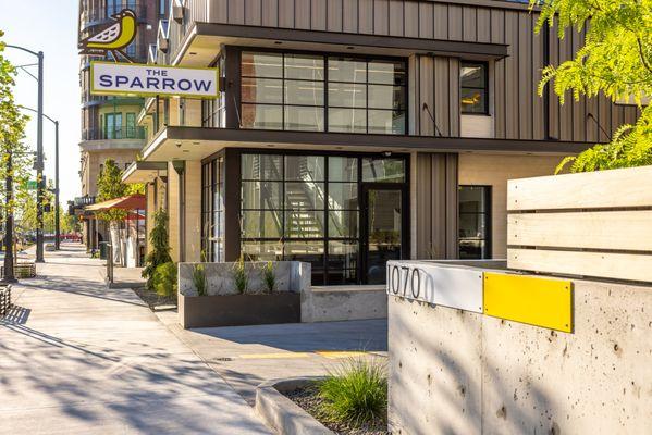 The Sparrow