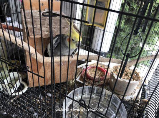 Pablo's Smog & Auto Repair