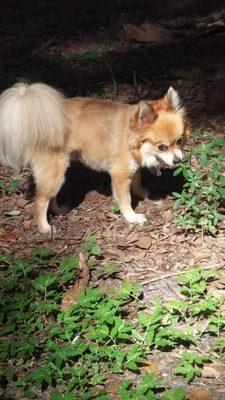 My baby Tink. She is learning to make friends.