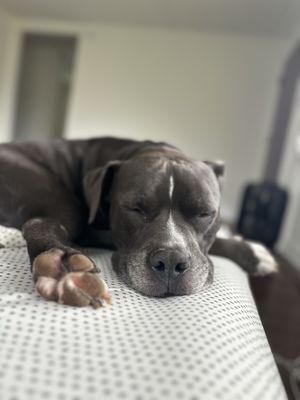 Haiku Veterinary Clinic