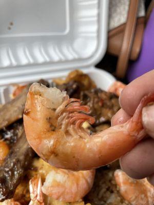 Poopy shrimp