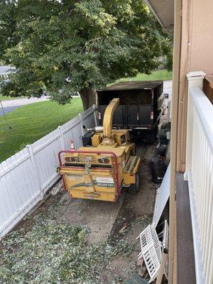 Francisco's Tree & Landscaping Services