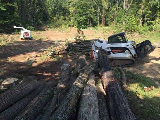 Christmas City Tree & Land Care