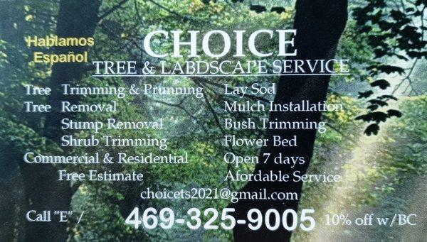 Choice Tree Service