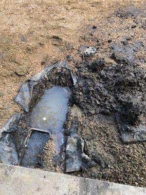 Standing water always, yes in Dallas!