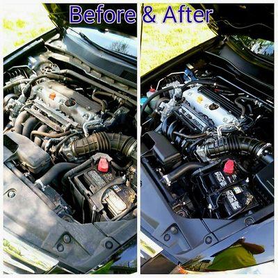 Shakes Shine & Shimmer Detailing