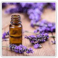 Aromatherapy at Tongen Touch Massage Therapy in Denver near Cherry Creek / Wash Park West.