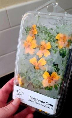 Roothouse Aquaponics