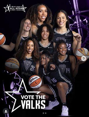 WNBA GVS Pro Players