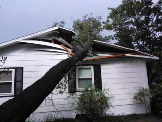 Daughtry Tree Service