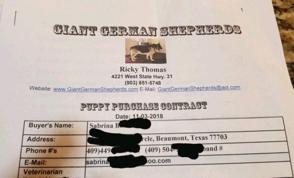 Giant German Shepherds - Corsicana, Texas