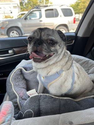 happy after her service