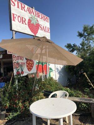 Family Farm Farmstand
